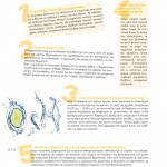 winmag12-25