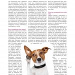 winmag16-zoom-42
