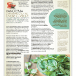 Big Fish Oct 2015 HighRES_page_001